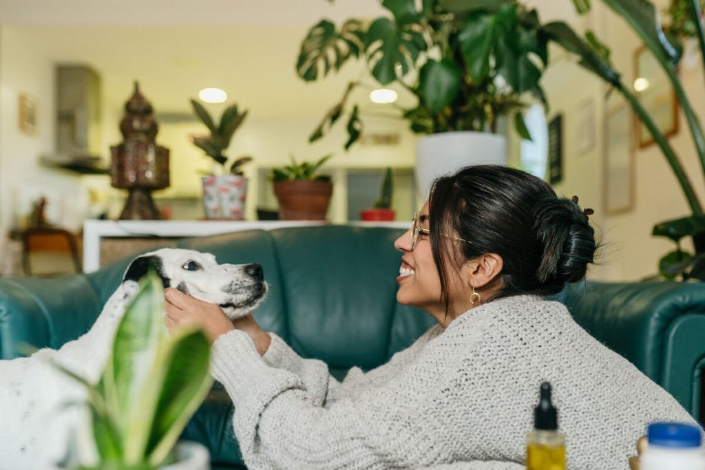 Pet Cremation vs Burial: How do you know what is right for you?
